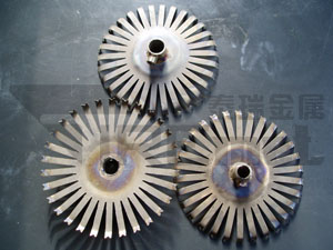 Disk