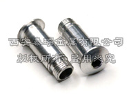 titanium pivot bolt