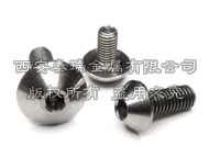 Titanium Button Head Bolt