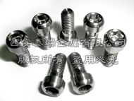 Titanium Brake Lever Bolt