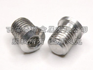 Titanium Brake Boss Plug