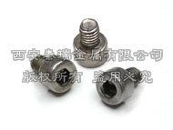 Titanium Preasion Stob Bolt