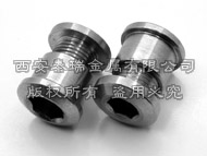 Titanium Chainring nut+Bolt