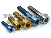 Titanium Fastener