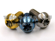 titanium torx bolt