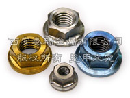 Titanium Flange Nuts