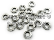 Titanium Spring Washer