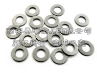 Titanium Washer