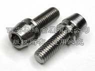 Titanium Bolt With Washer