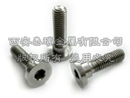 Titanium Valve Cover Bolts