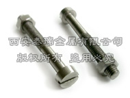 Titanium Slotted Cheese Head Screws