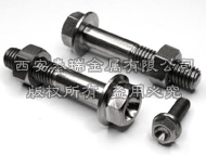 Titanium Flange Head Bolt