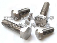 Titanium Hexagon Head Bolts