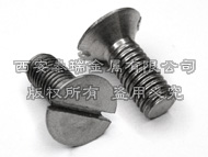 Titanium Slotted Countersunk Flat Head Screws