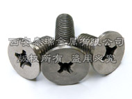 Titanium Countersunk flat head screws