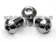 Titanium Botton Head Bolts